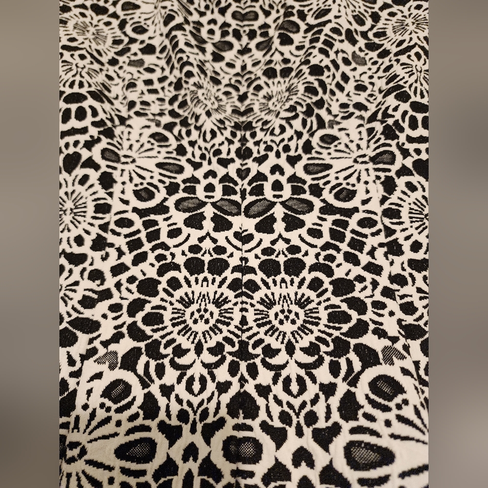 Textured Black and White Vintage Caché Dress - Size 2 - EUC - Picture 6 of 8
